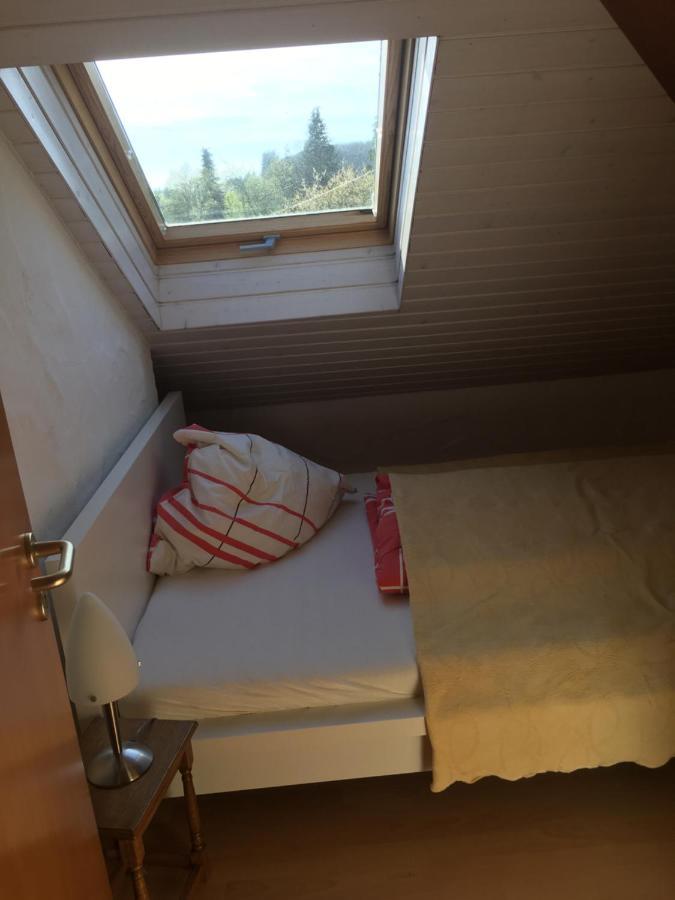 Ferienwohnung Nett Adenau Luaran gambar